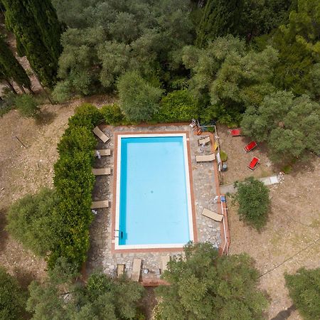 Villa I Tigli Campiglia Marittima Exterior foto