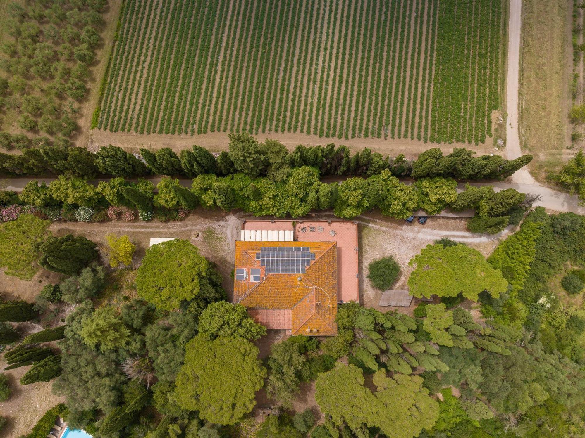 Villa I Tigli Campiglia Marittima Exterior foto