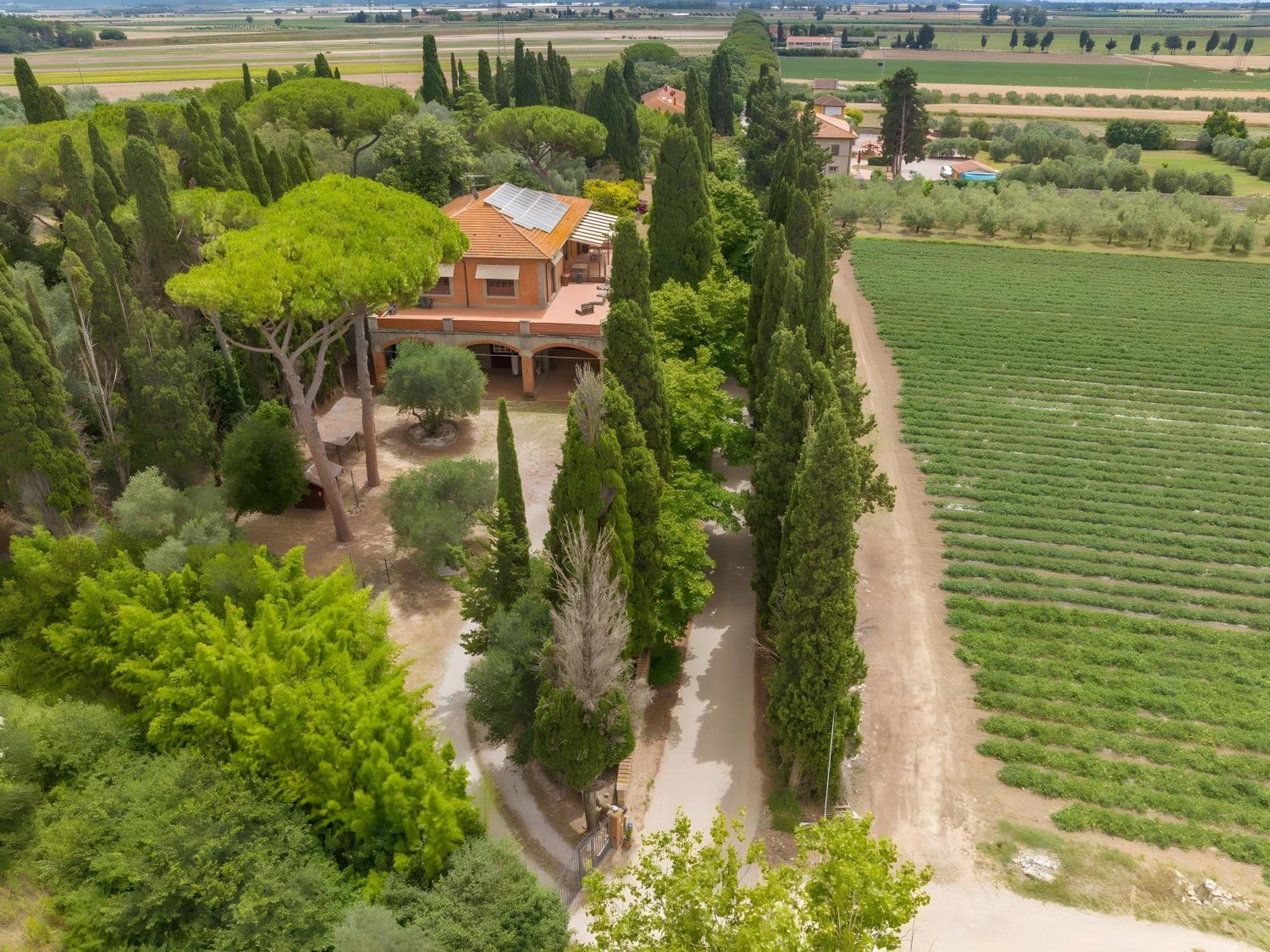 Villa I Tigli Campiglia Marittima Exterior foto